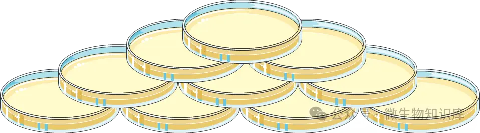 第三个措施:跟上面一样,也是把皿盖打开,该法是完全打开,待凝固后关闭皿盖,经常见实验室小伙伴们这样做,效果也挺好 第三个措施:跟上面一样,也是把皿盖打开,该法是完全打开,待凝固后关闭皿盖,经常见实验室小伙伴们这样做,效果也挺好