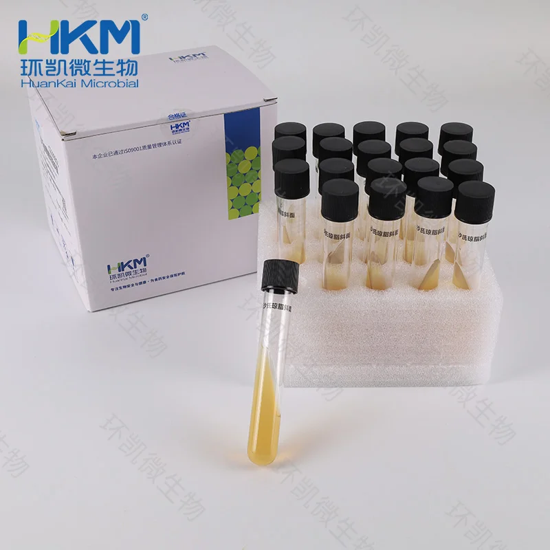 CP0480 沙氏琼脂斜面培养基 8mL×20支