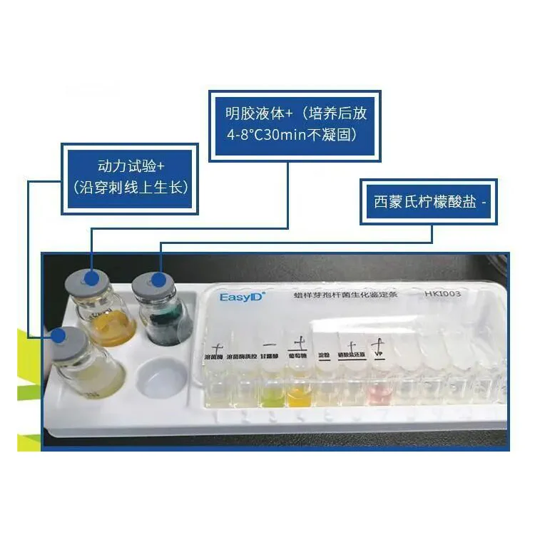 HKI003 EasyID蜡样芽孢杆菌生化鉴定试剂盒 10test - 产品主图2