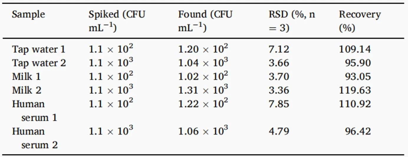 不同样品中铜绿假单胞菌的回收率和相对标准偏差