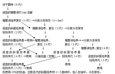 如何科学地确定菌种传代次数