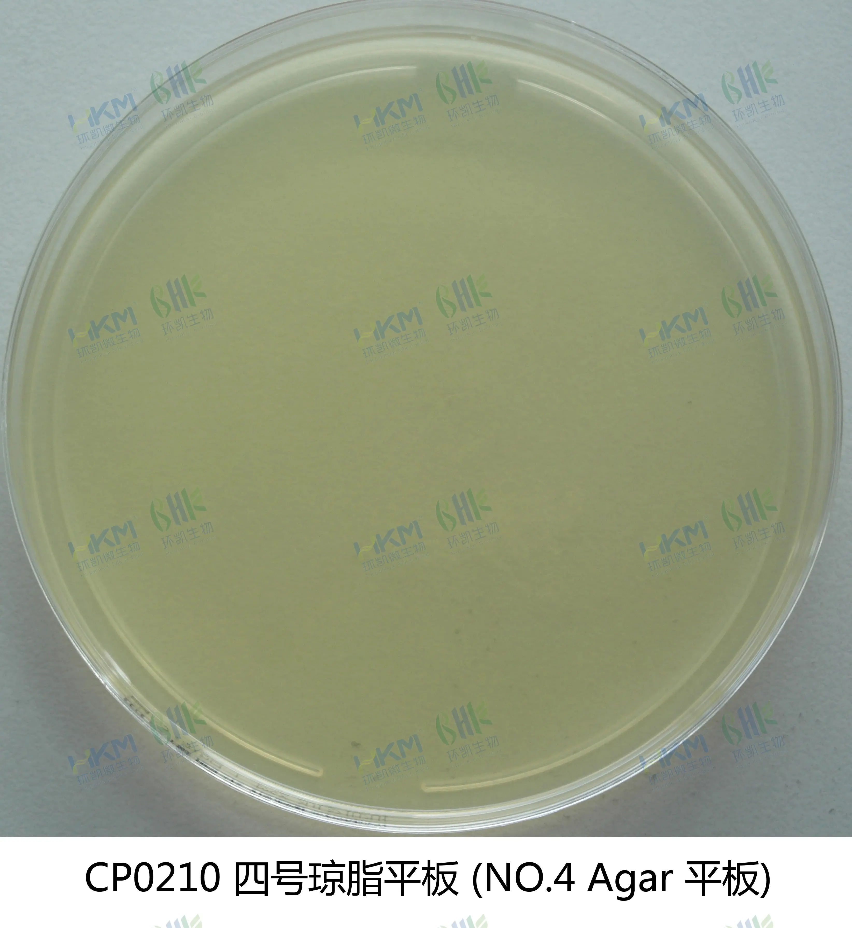 四号琼脂平板培养基