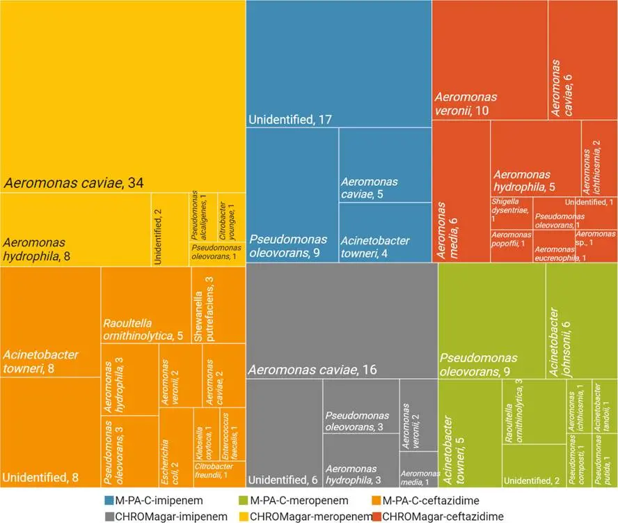 在M-PA-C和CHROMagar废水直接镀层时，配合抗生素进行假阳性物种鉴定