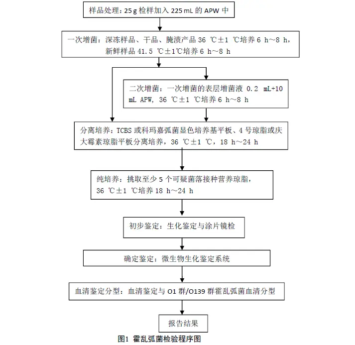 霍乱弧菌检测流程