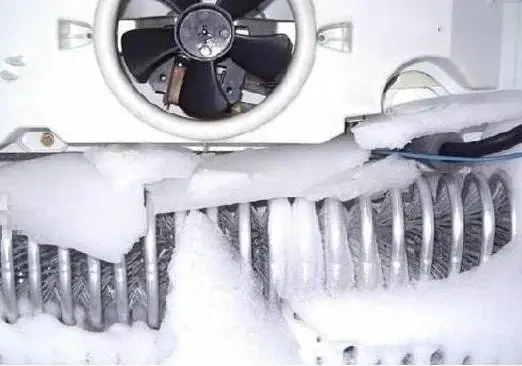 冷库内工器具和内环境的清洁、消毒