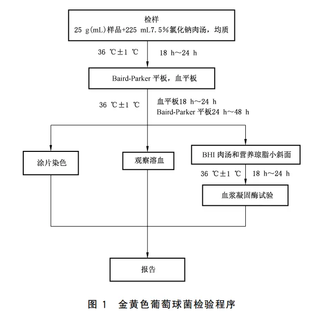金黄色葡萄球菌定性检验