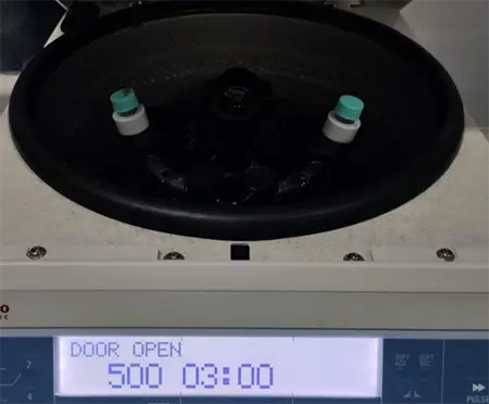 500 rpm细胞离心3min