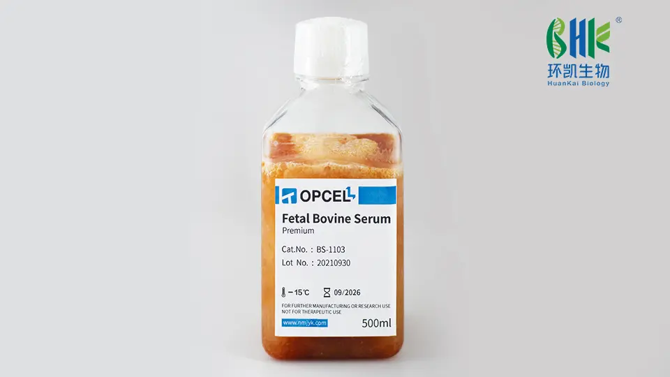 胎牛血清