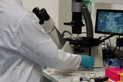 在显微镜下检查一次细胞