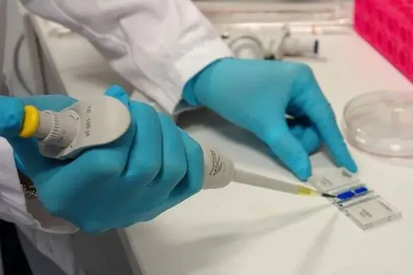 计数室有两个计数区可各自承接液体