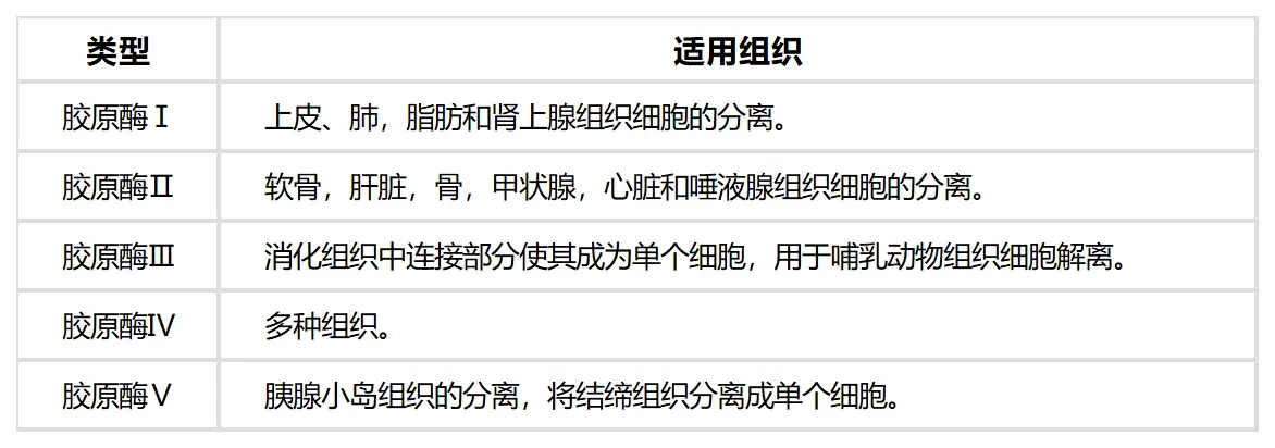 胶原酶