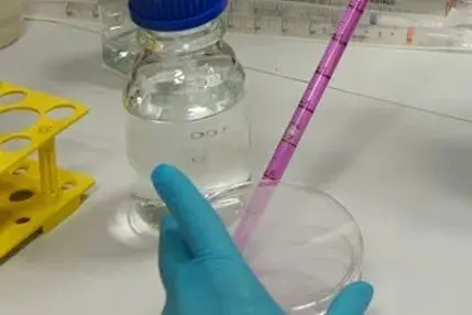 用移液器将培养基吸取至废物容器中