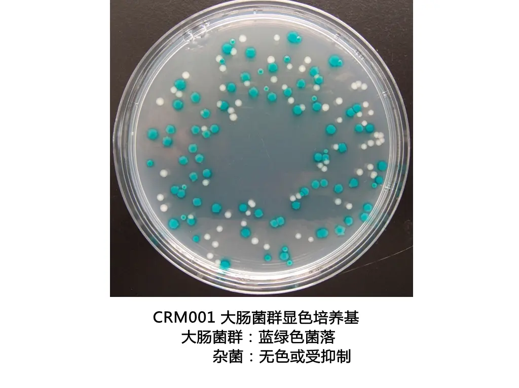 CRM003 大肠菌群大肠杆菌显色培养基
