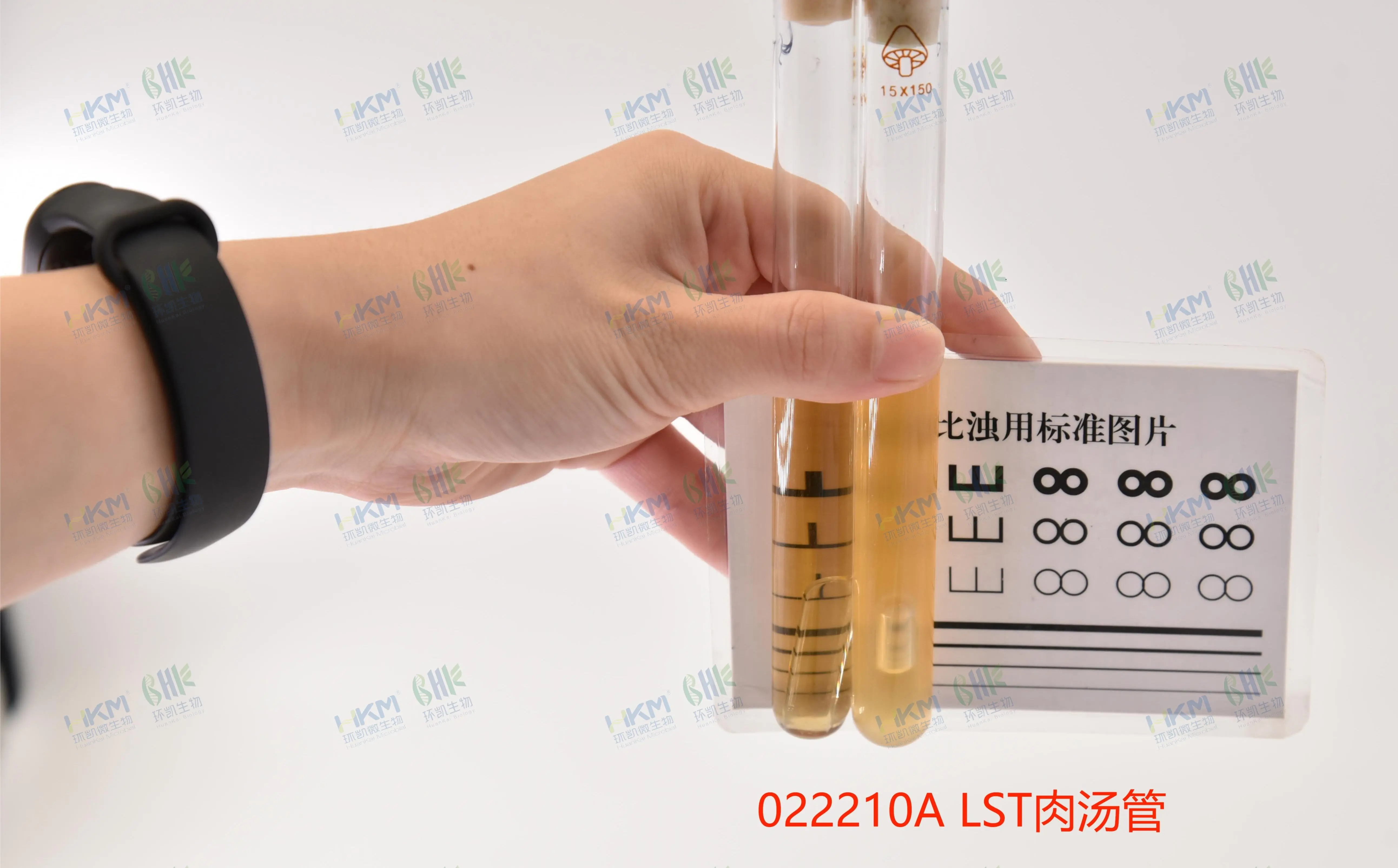 LST肉汤发酵管(月桂基硫酸盐胰蛋白胨肉汤培养基)质量控制