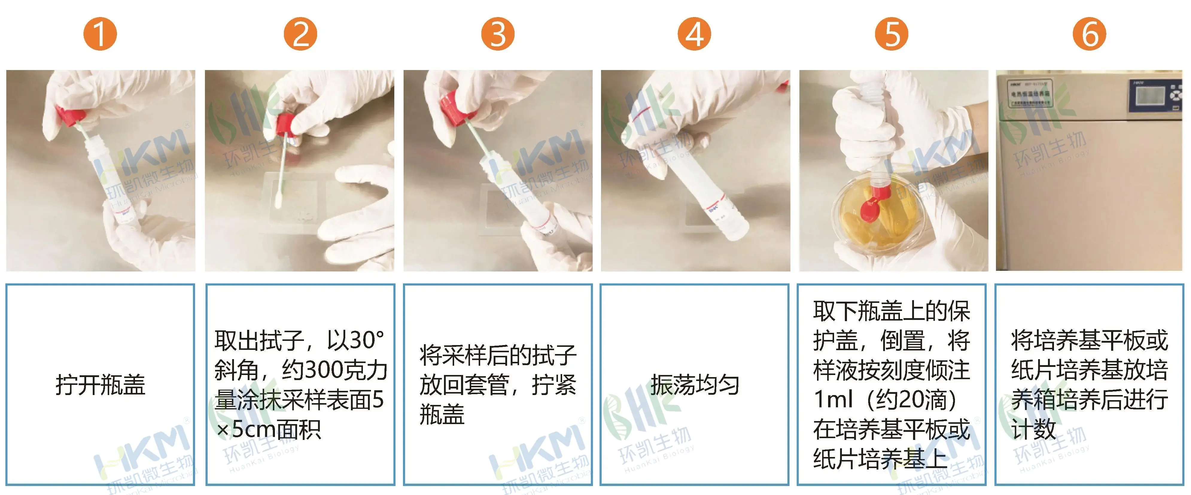 一次性采样管（采集转运拭子）使用步骤