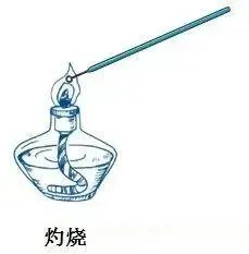 接种针灼烧灭菌