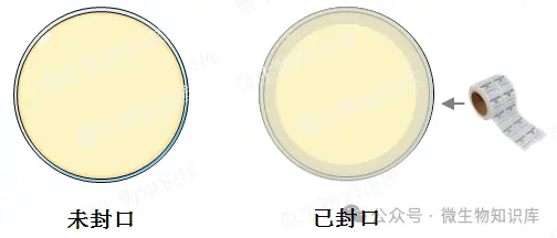 培养需要用封口膜“封口”？