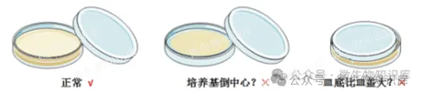 倒平板后怎么盖？怎么倒平板？