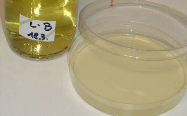 液体 LB 培养基的配制