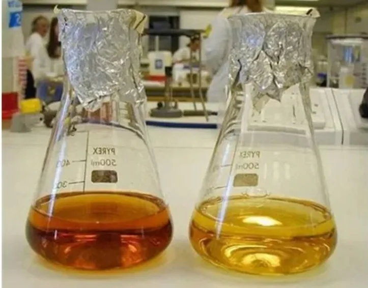 固体 LB 培养基的配制