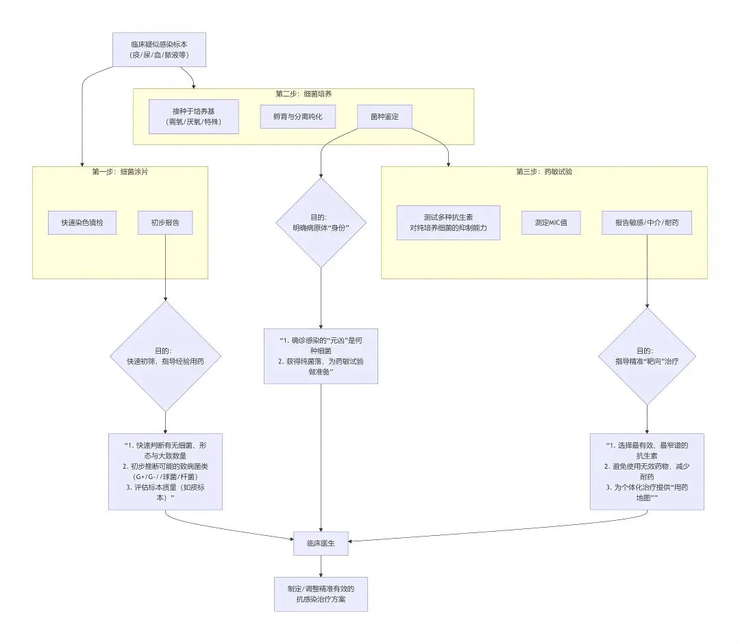 细菌涂片、培养和药敏试验