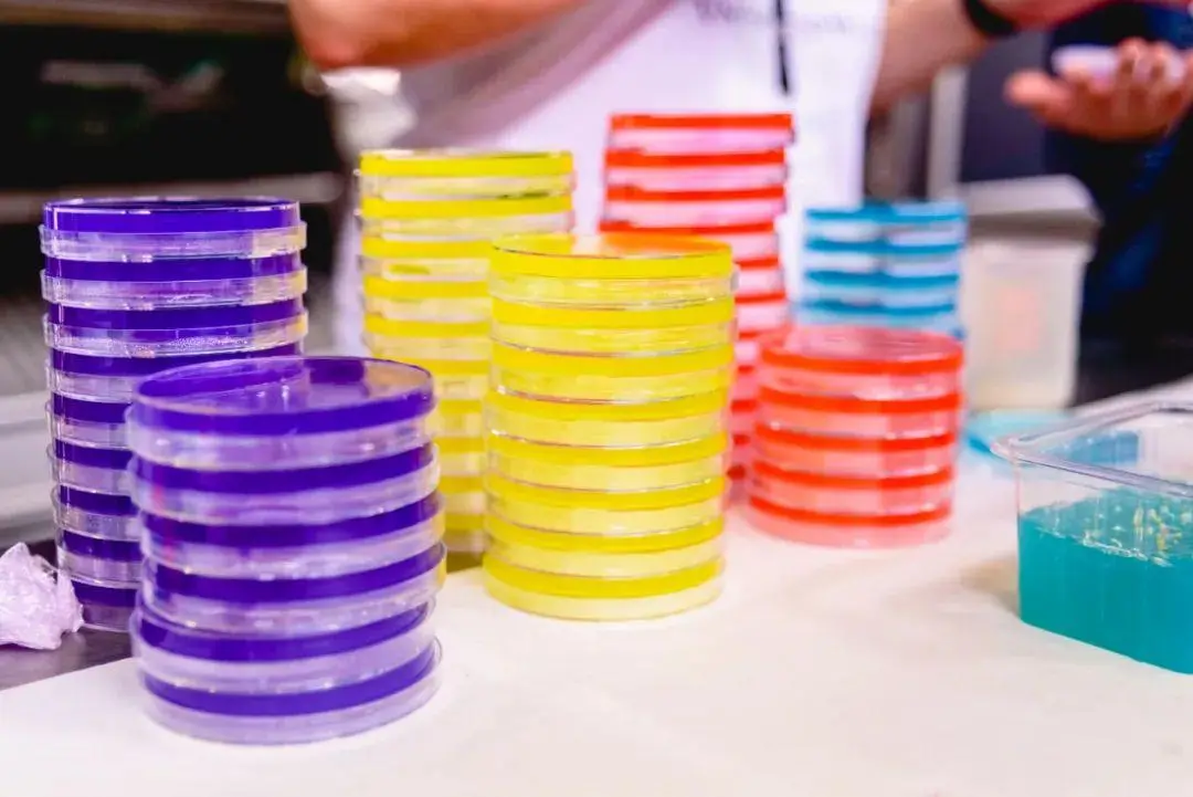 生化特性鉴定培养基