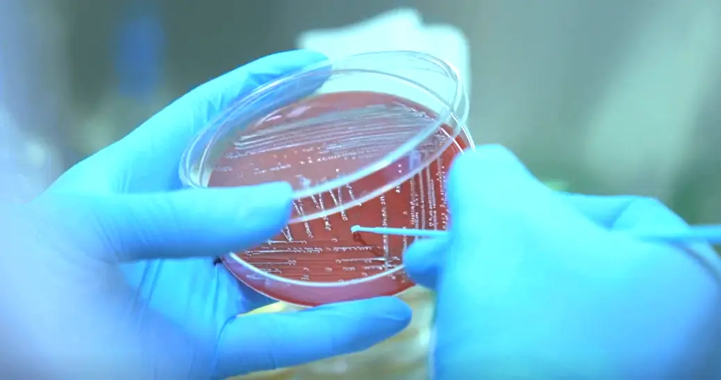 营养富集型平板