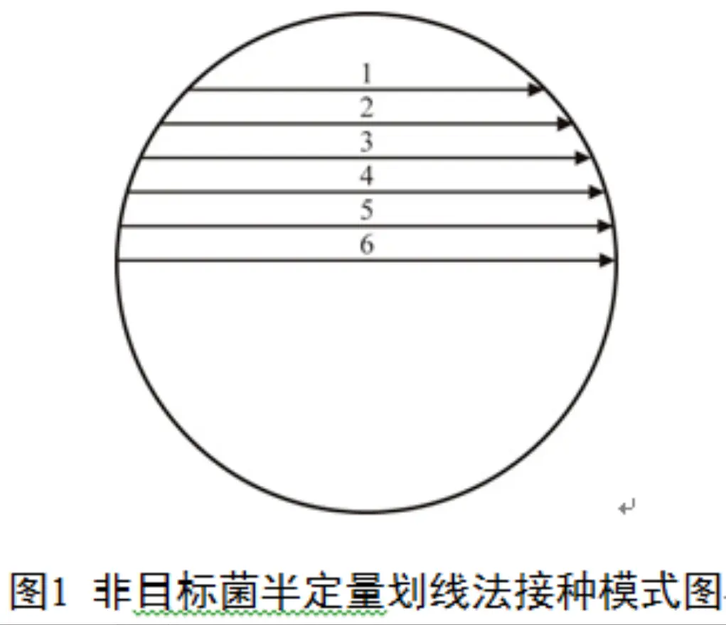 非目标菌半定量划线法接种模式图