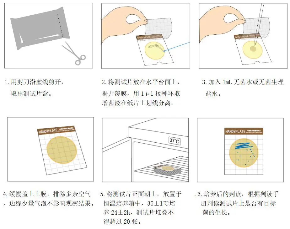HandyPlate®环境李斯特氏菌测试片定性操作步骤