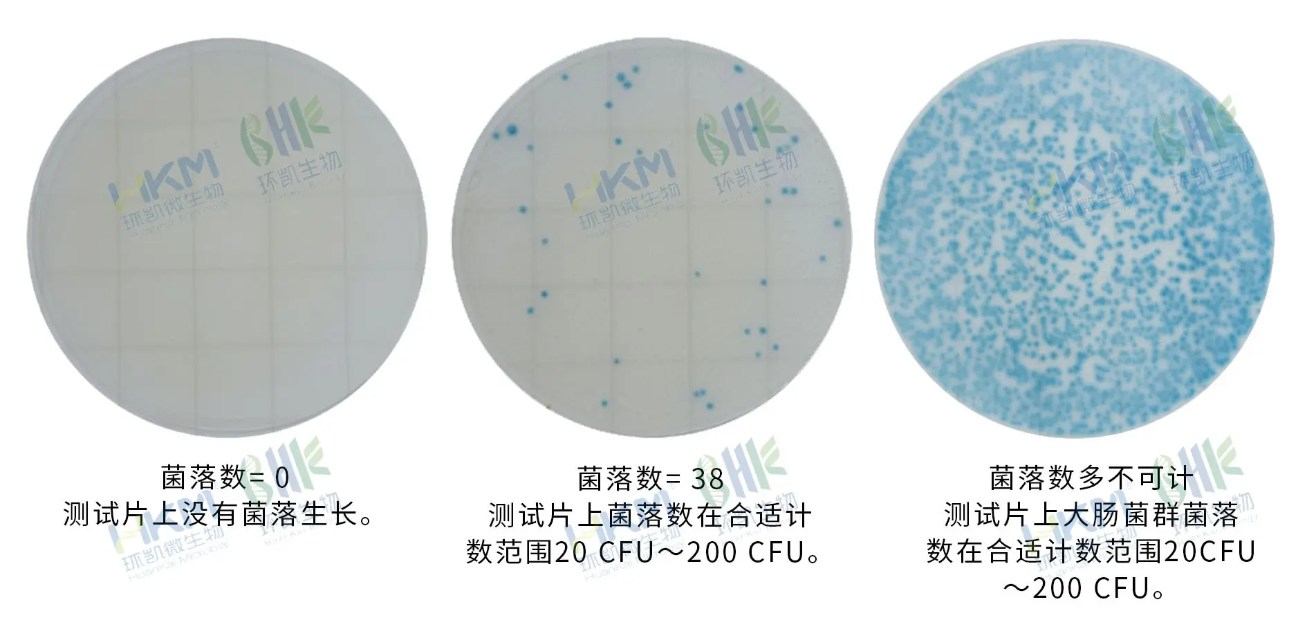 环凯 HandyPlate®环境李斯特氏菌测试片 判读手册